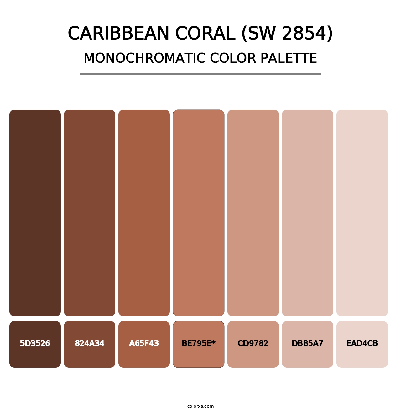 Caribbean Coral (SW 2854) - Monochromatic Color Palette