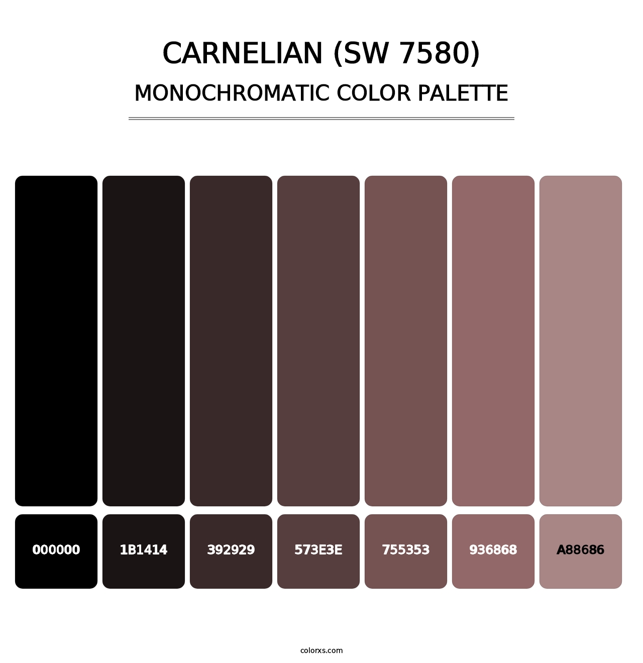 Carnelian (SW 7580) - Monochromatic Color Palette