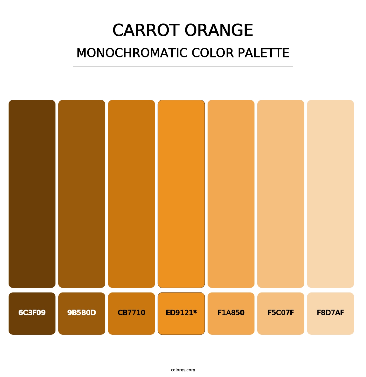 Carrot Orange - Monochromatic Color Palette