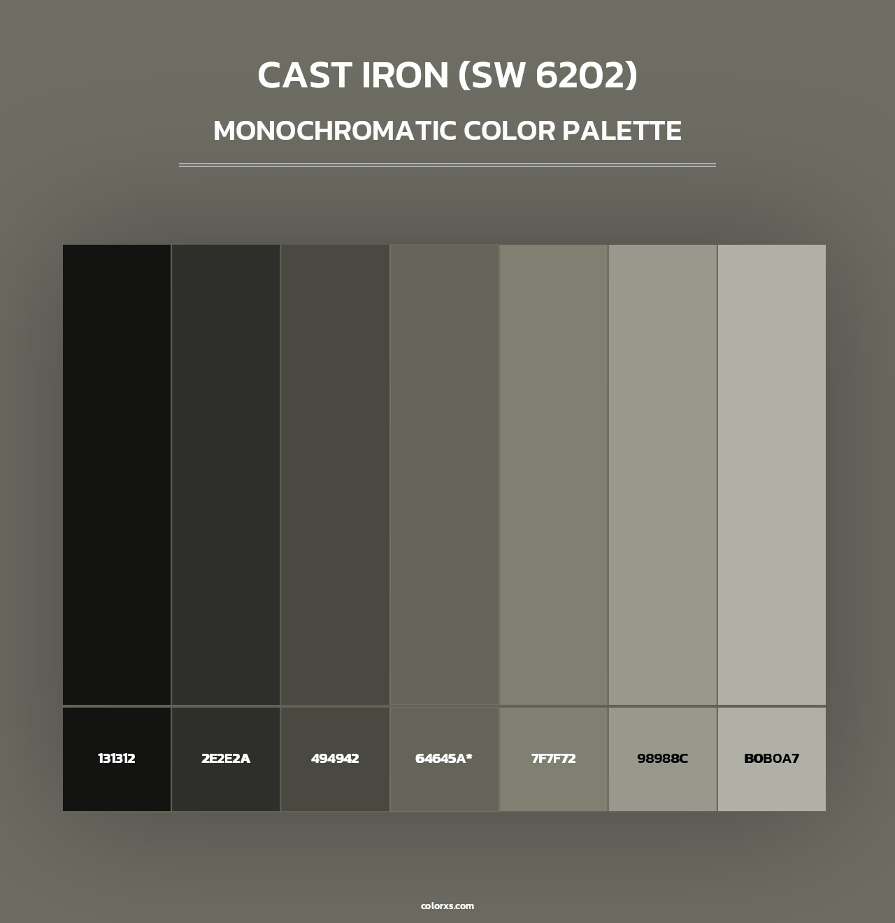 Cast Iron (SW 6202) - Monochromatic Color Palette