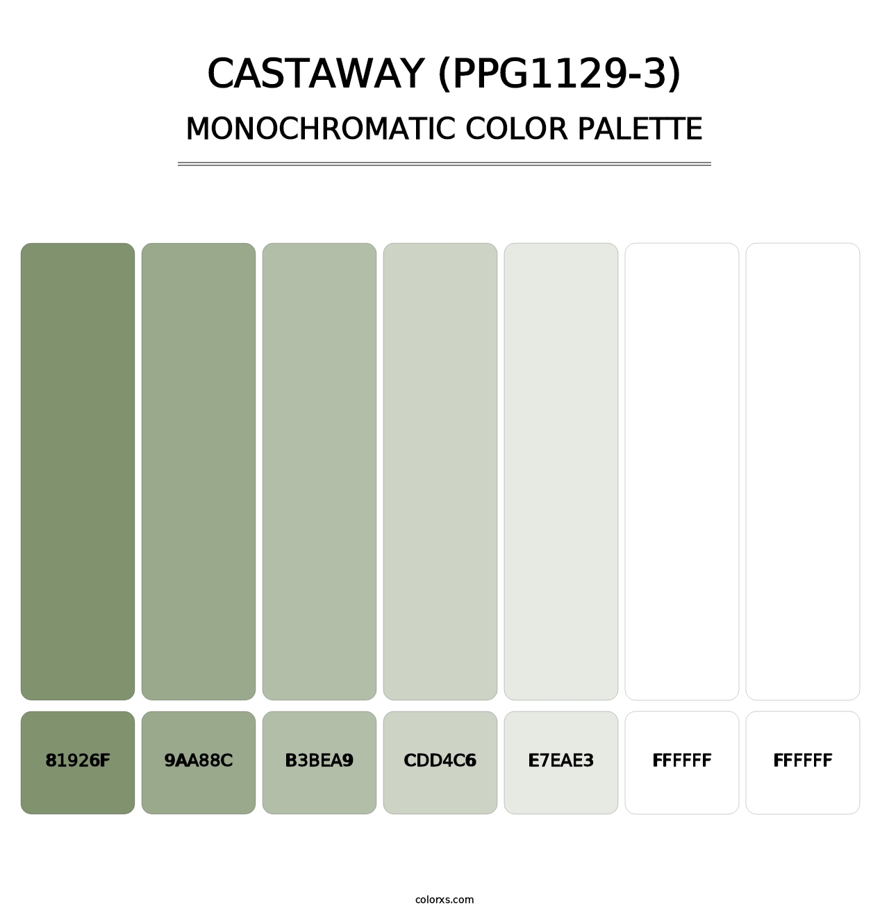 Castaway (PPG1129-3) - Monochromatic Color Palette