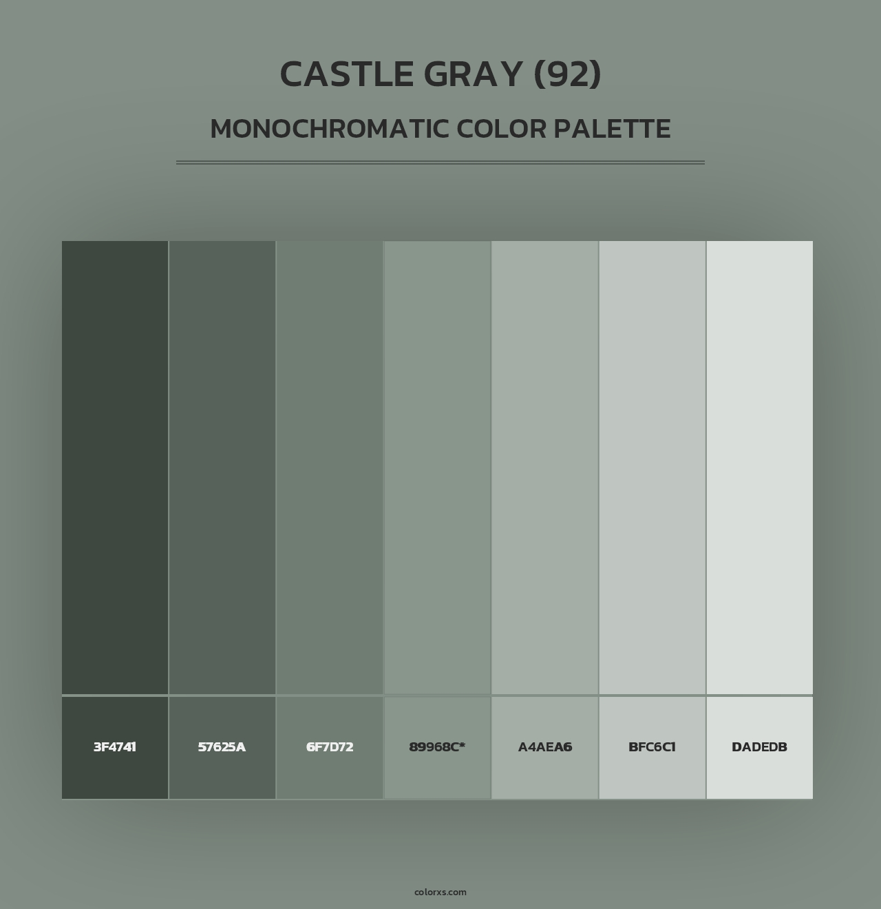 Castle Gray (92) - Monochromatic Color Palette