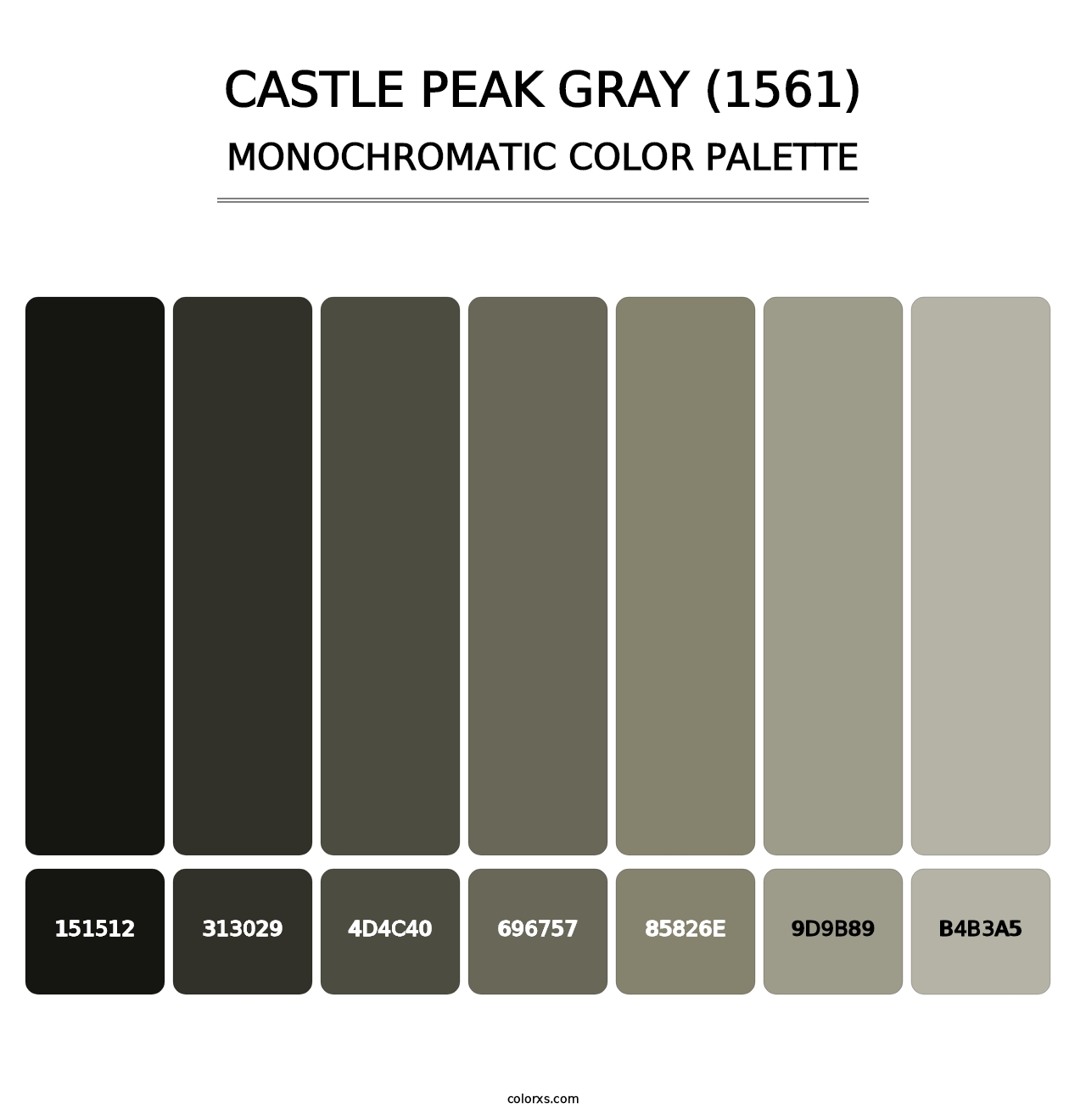 Castle Peak Gray (1561) - Monochromatic Color Palette