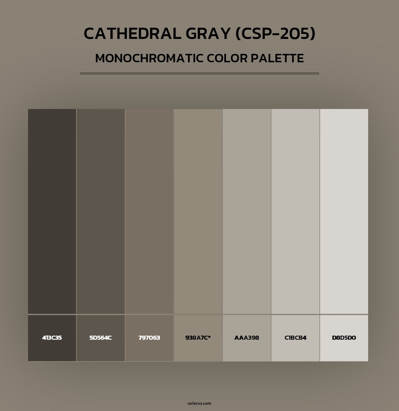 Cathedral Gray (CSP-205) - Monochromatic Color Palette