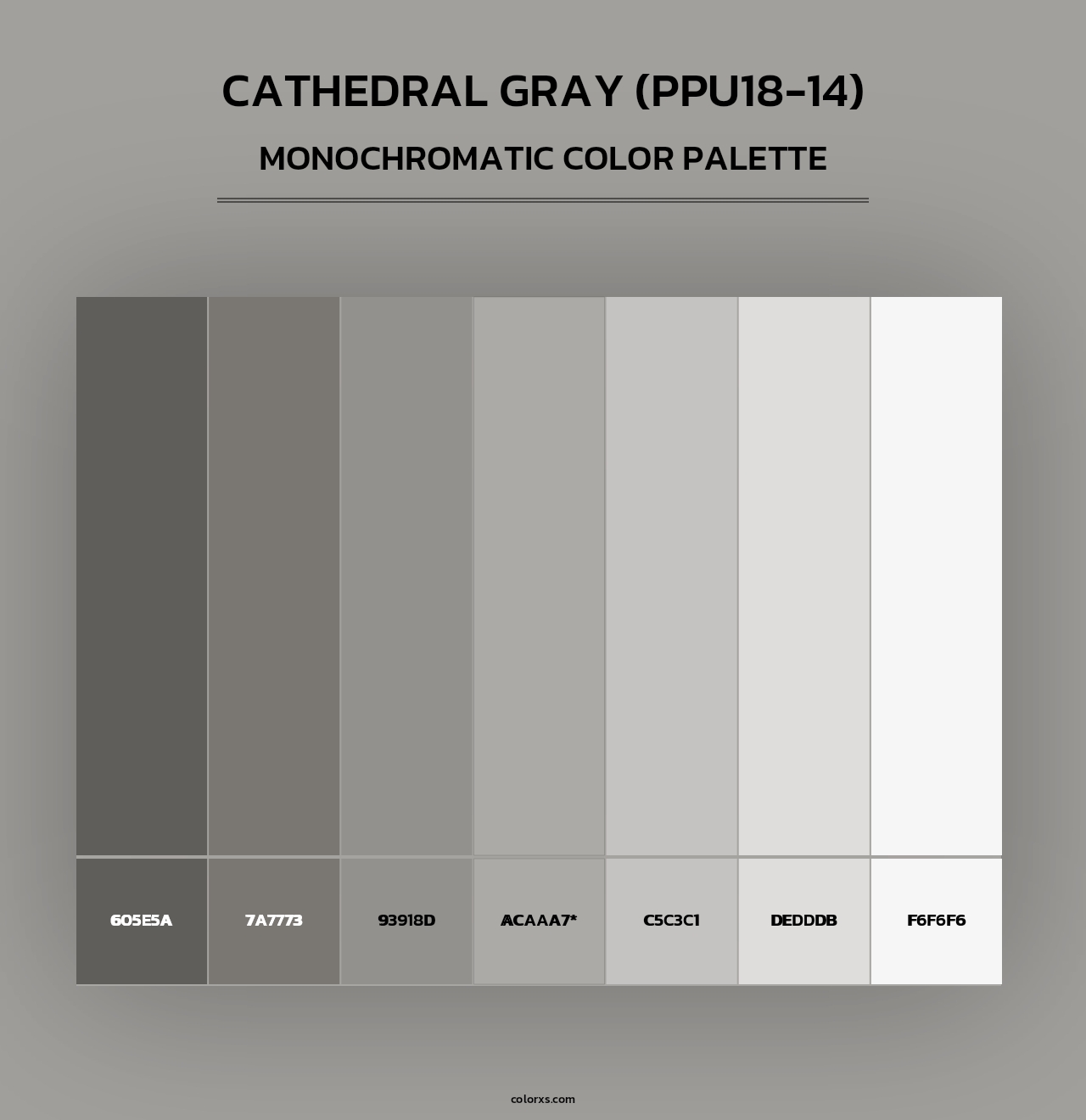 Cathedral Gray (PPU18-14) - Monochromatic Color Palette