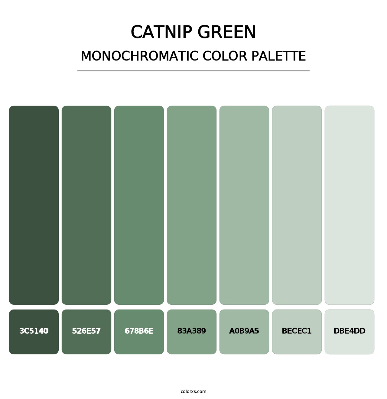 Catnip Green - Monochromatic Color Palette