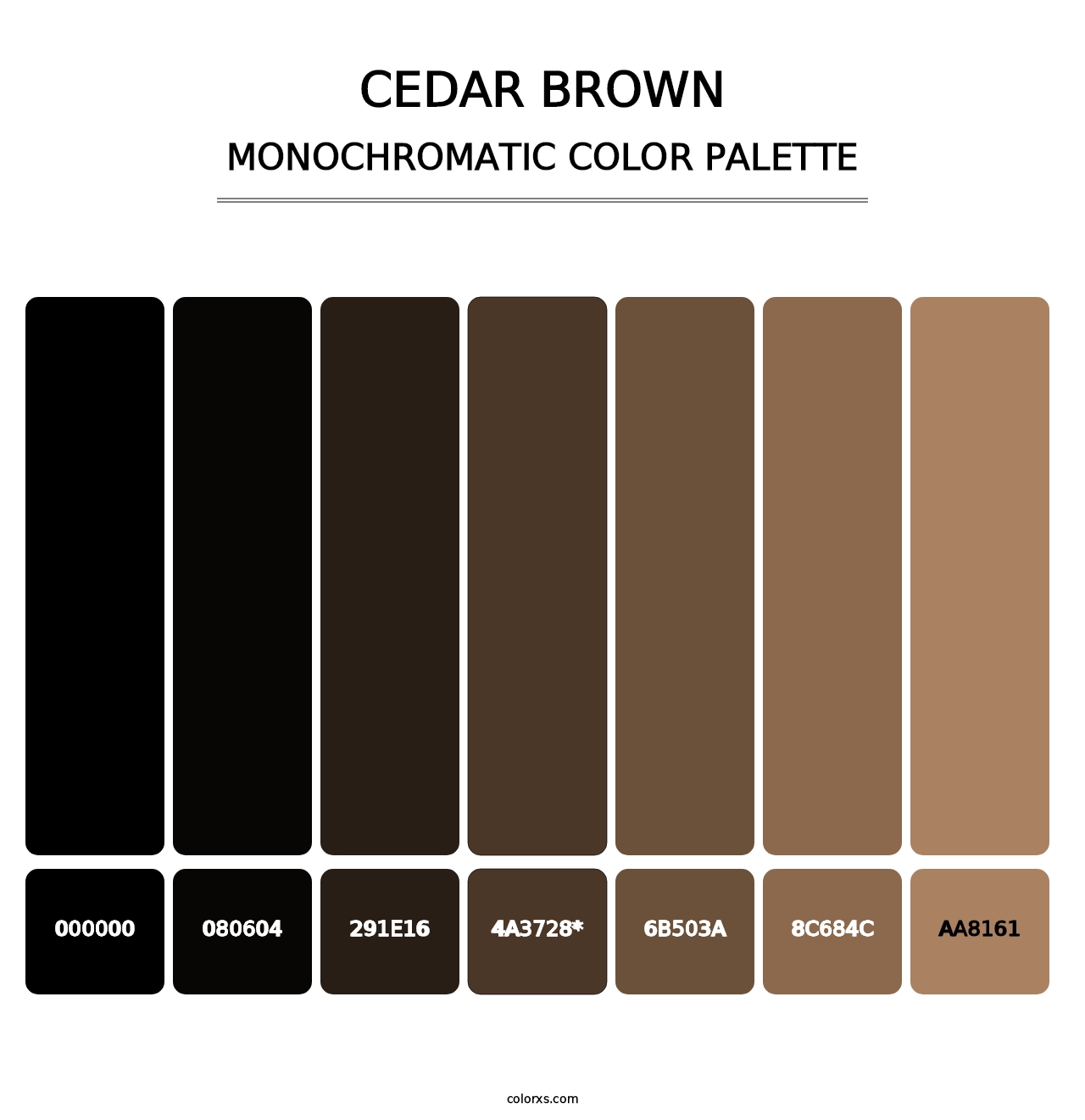Cedar Brown - Monochromatic Color Palette