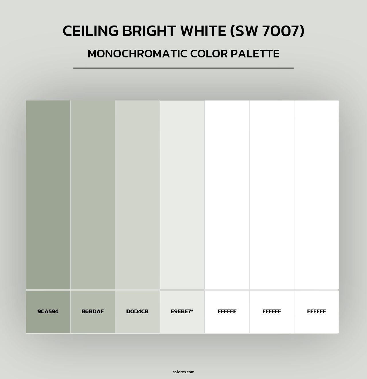 Ceiling Bright White (SW 7007) - Monochromatic Color Palette