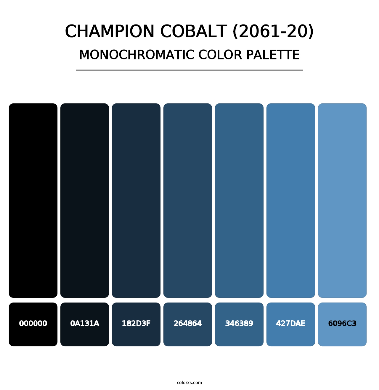Champion Cobalt (2061-20) - Monochromatic Color Palette