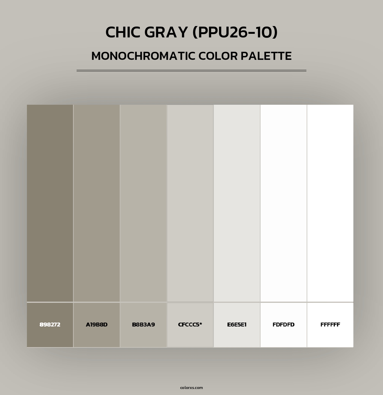 Chic Gray (PPU26-10) - Monochromatic Color Palette