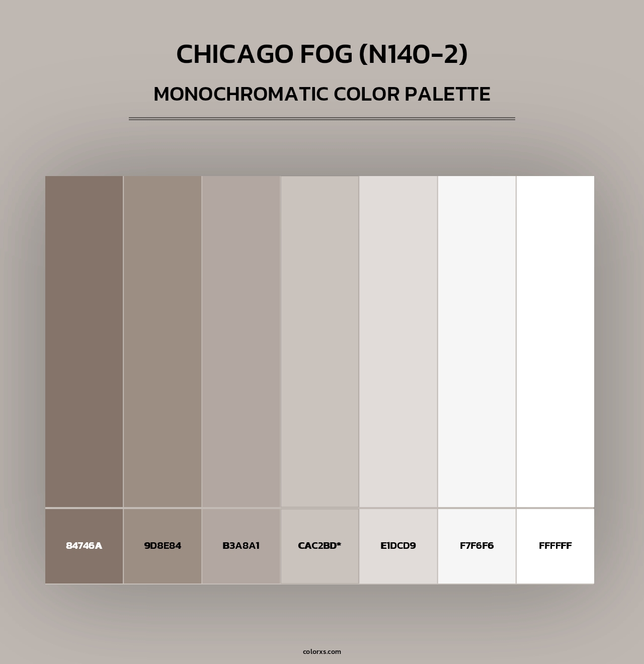 Chicago Fog (N140-2) - Monochromatic Color Palette