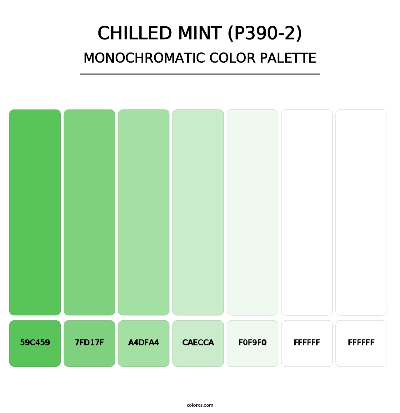 Chilled Mint (P390-2) - Monochromatic Color Palette