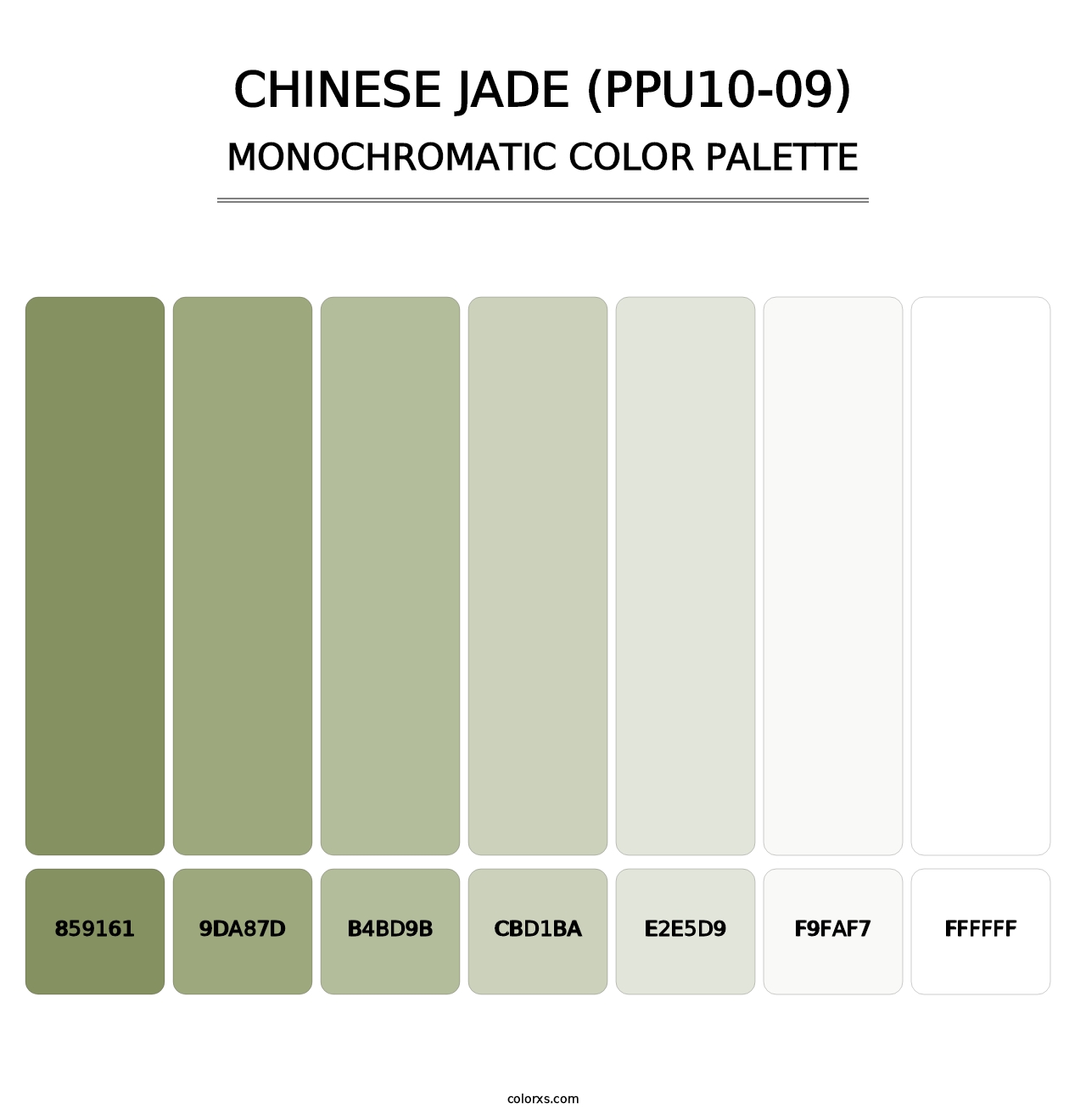 Chinese Jade (PPU10-09) - Monochromatic Color Palette