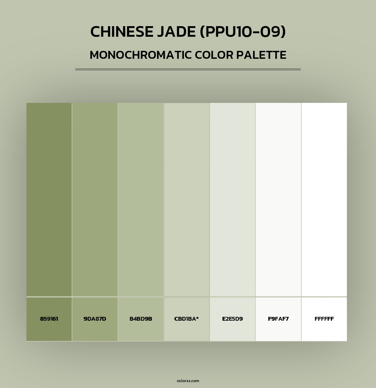 Chinese Jade (PPU10-09) - Monochromatic Color Palette