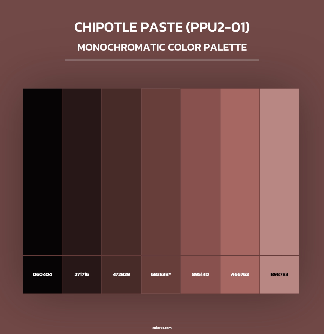 Chipotle Paste (PPU2-01) - Monochromatic Color Palette