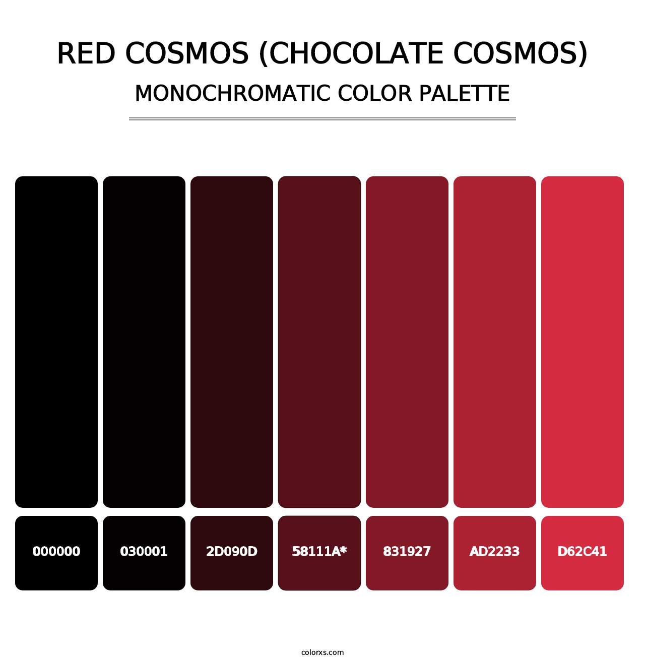 Red Cosmos (Chocolate Cosmos) - Monochromatic Color Palette