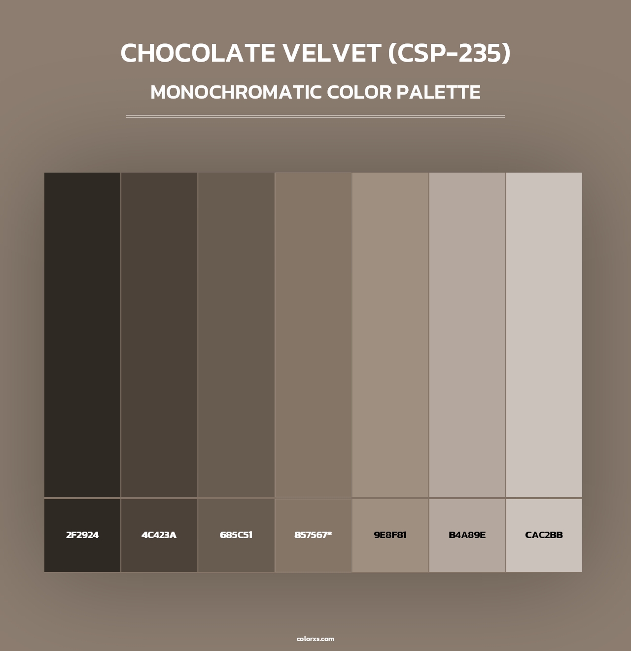 Chocolate Velvet (CSP-235) - Monochromatic Color Palette