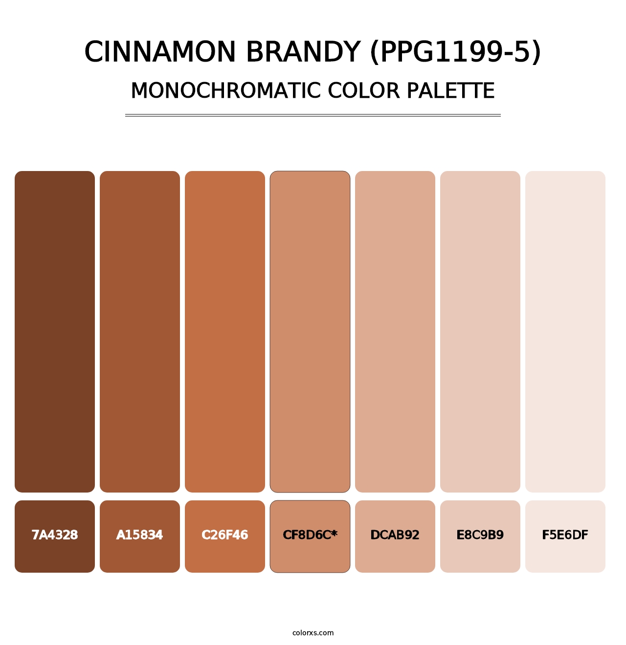 Cinnamon Brandy (PPG1199-5) - Monochromatic Color Palette