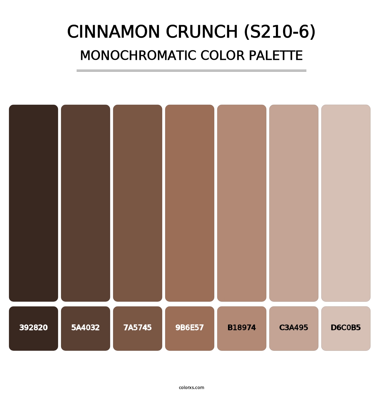 Cinnamon Crunch (S210-6) - Monochromatic Color Palette