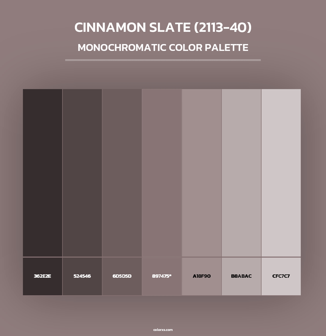Cinnamon Slate (2113-40) - Monochromatic Color Palette
