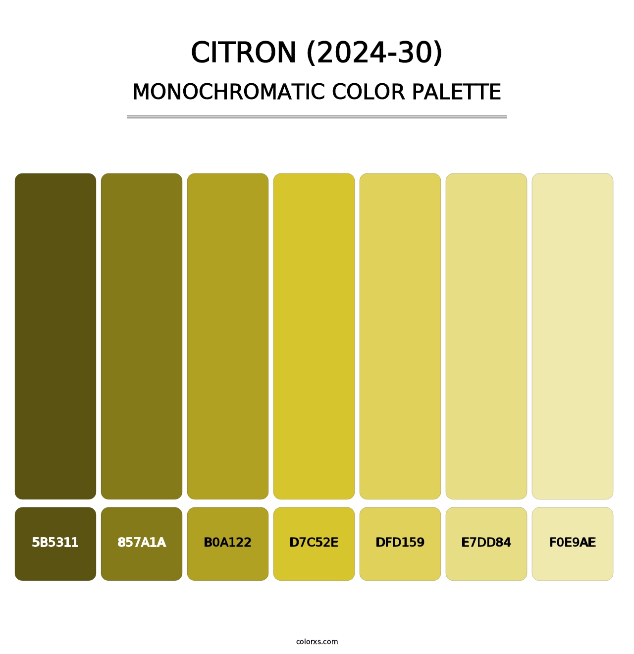 Citron (2024-30) - Monochromatic Color Palette
