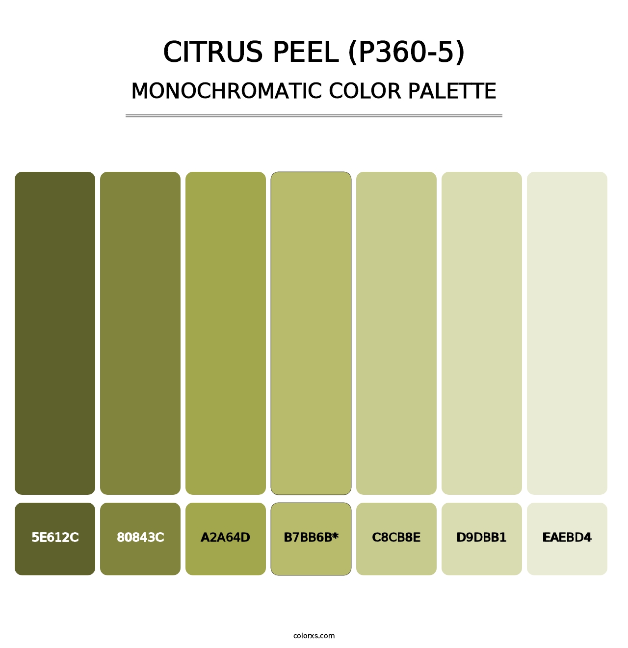 Citrus Peel (P360-5) - Monochromatic Color Palette