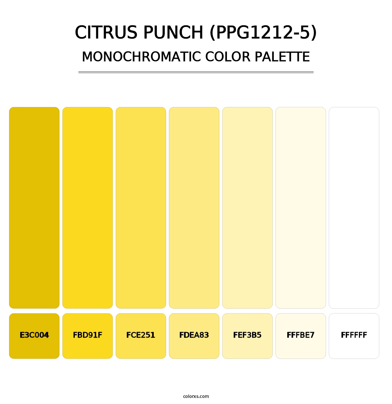 Citrus Punch (PPG1212-5) - Monochromatic Color Palette