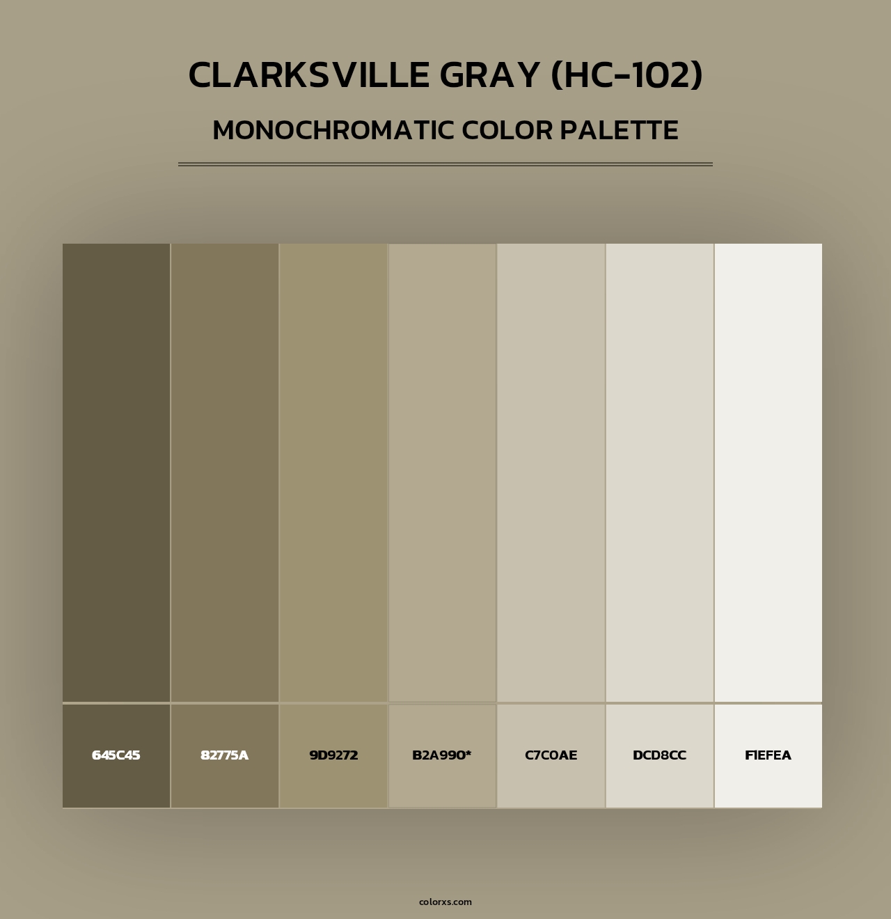 Clarksville Gray (HC-102) - Monochromatic Color Palette