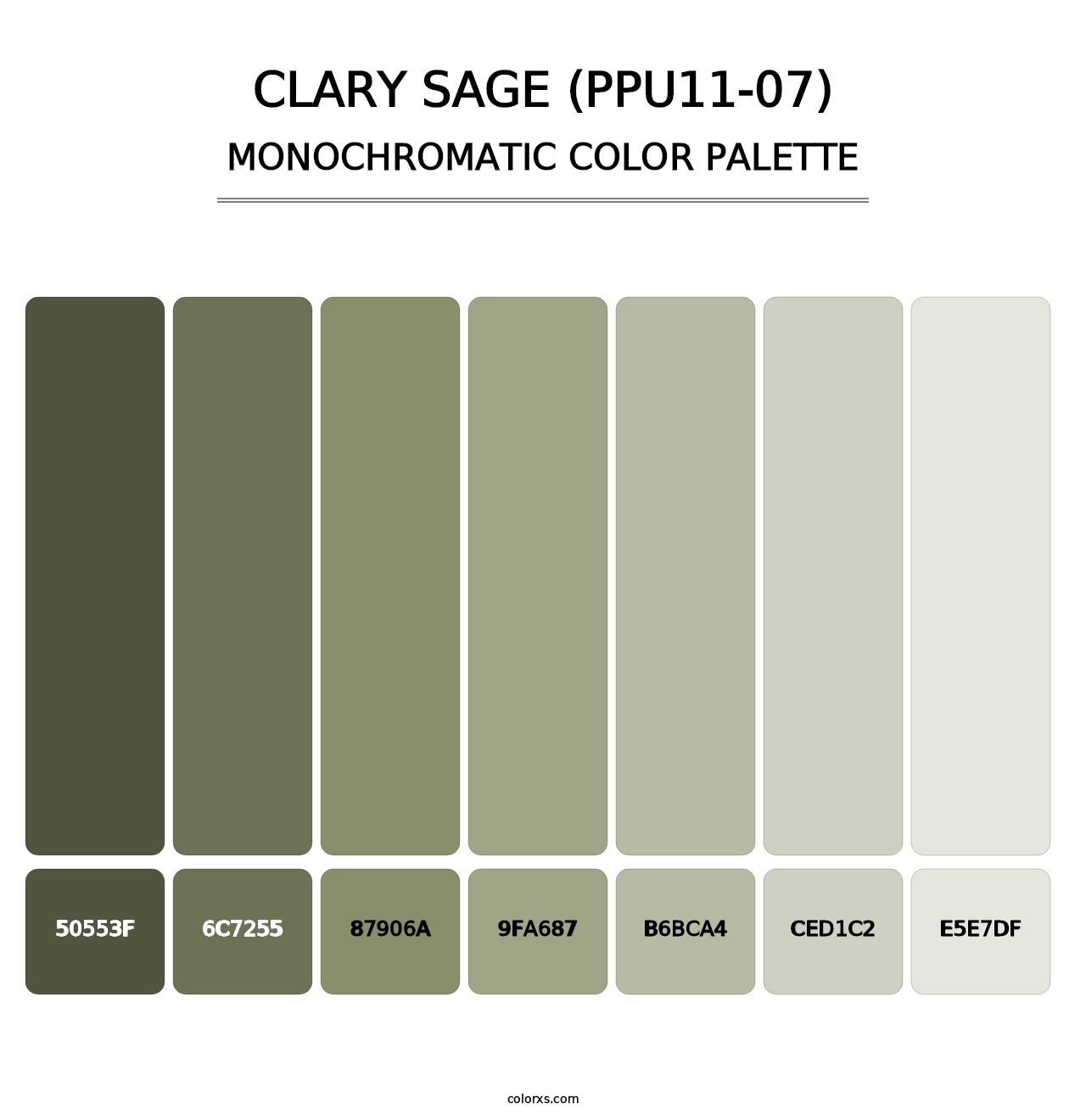 Clary Sage (PPU11-07) - Monochromatic Color Palette
