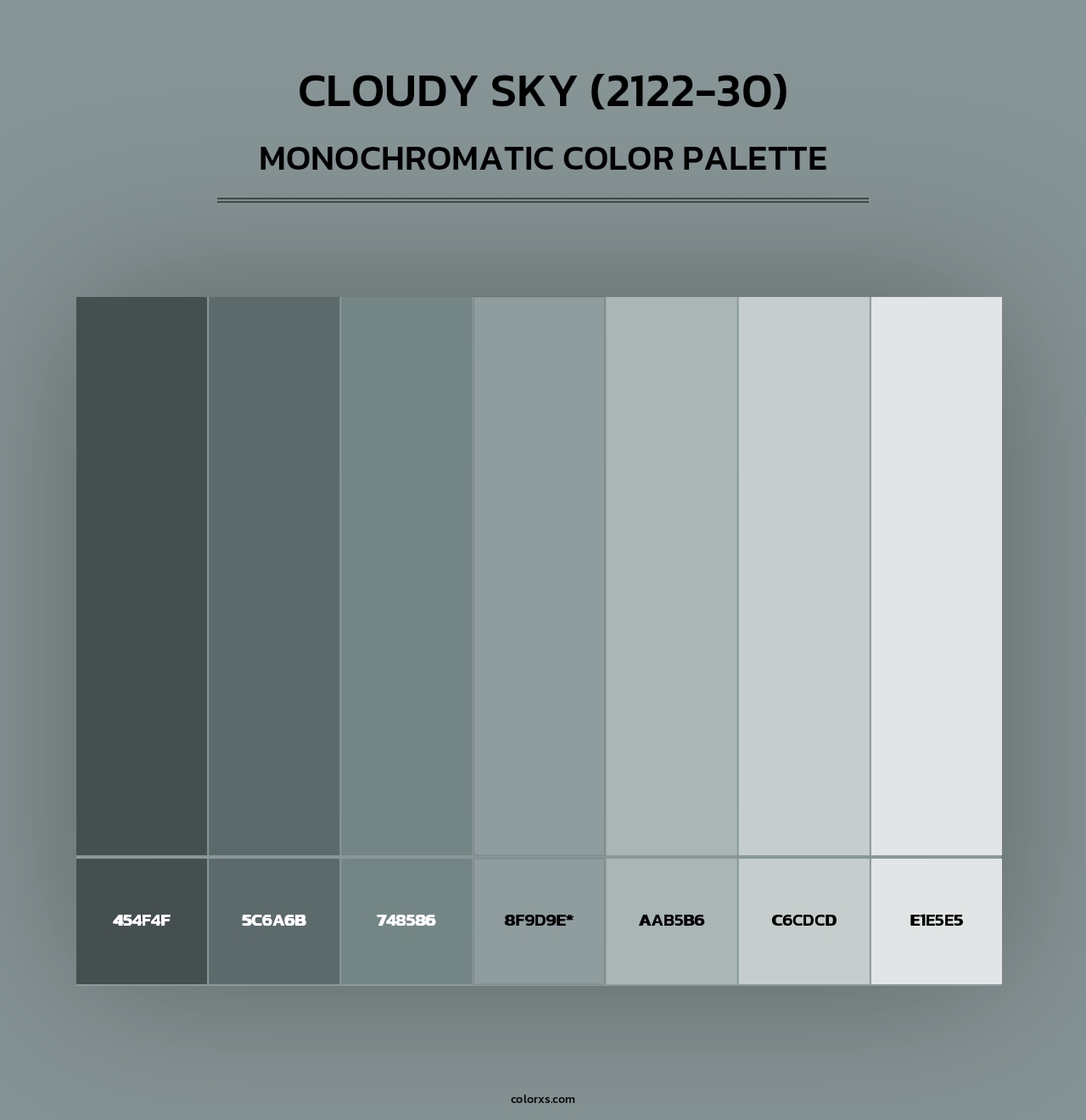 Cloudy Sky (2122-30) - Monochromatic Color Palette
