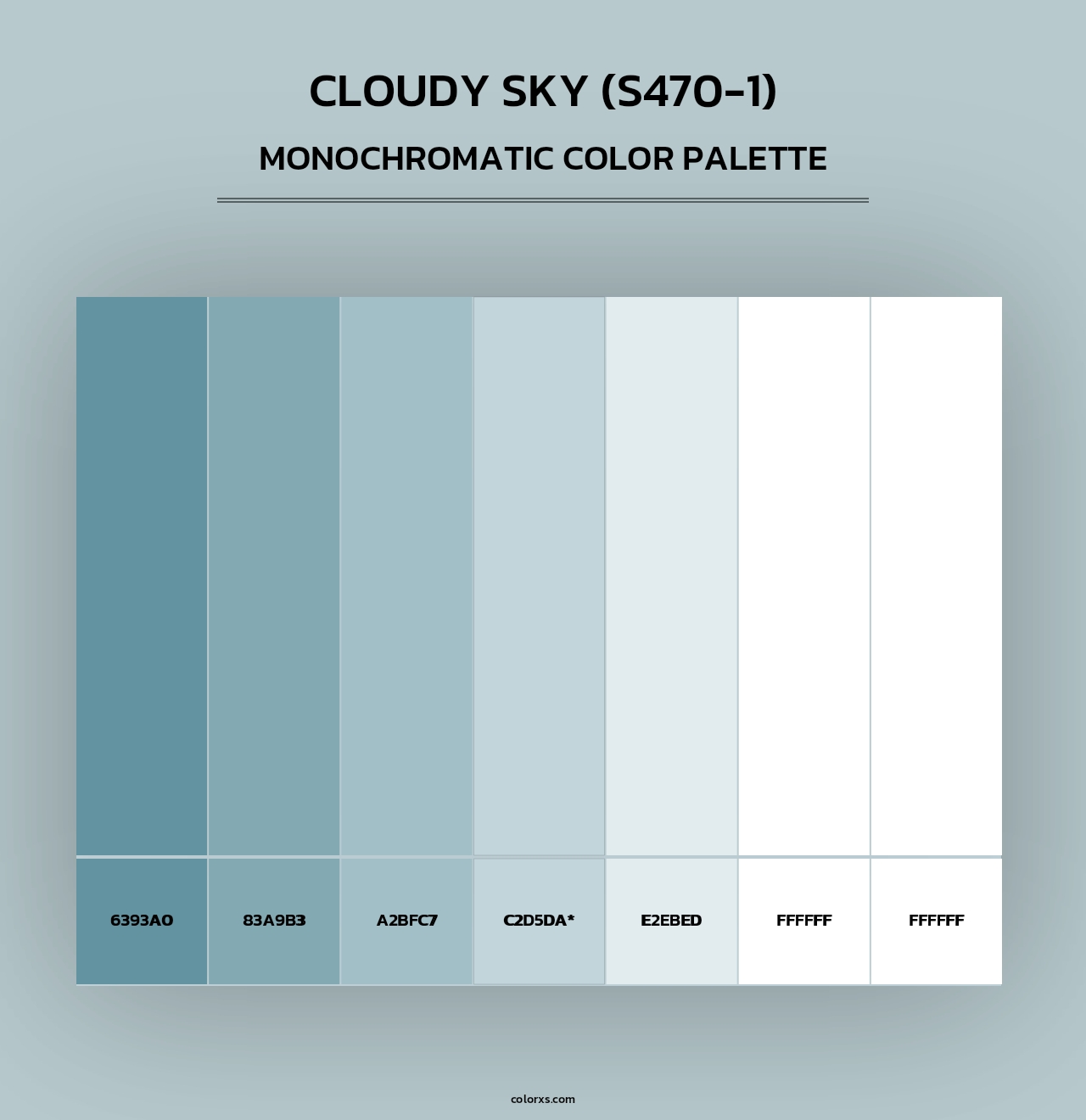 Cloudy Sky (S470-1) - Monochromatic Color Palette