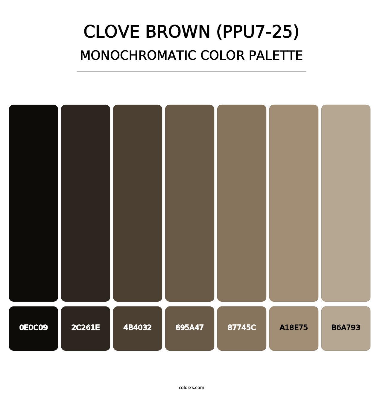 Clove Brown (PPU7-25) - Monochromatic Color Palette