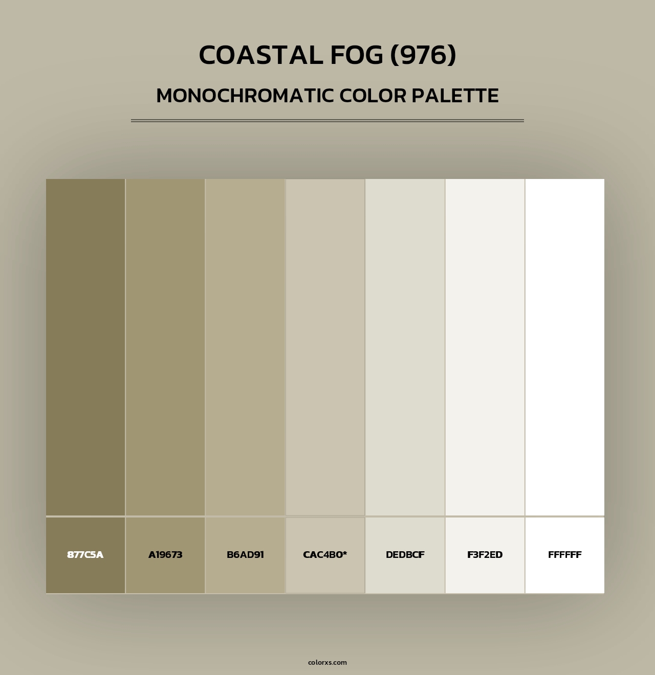 Coastal Fog (976) - Monochromatic Color Palette
