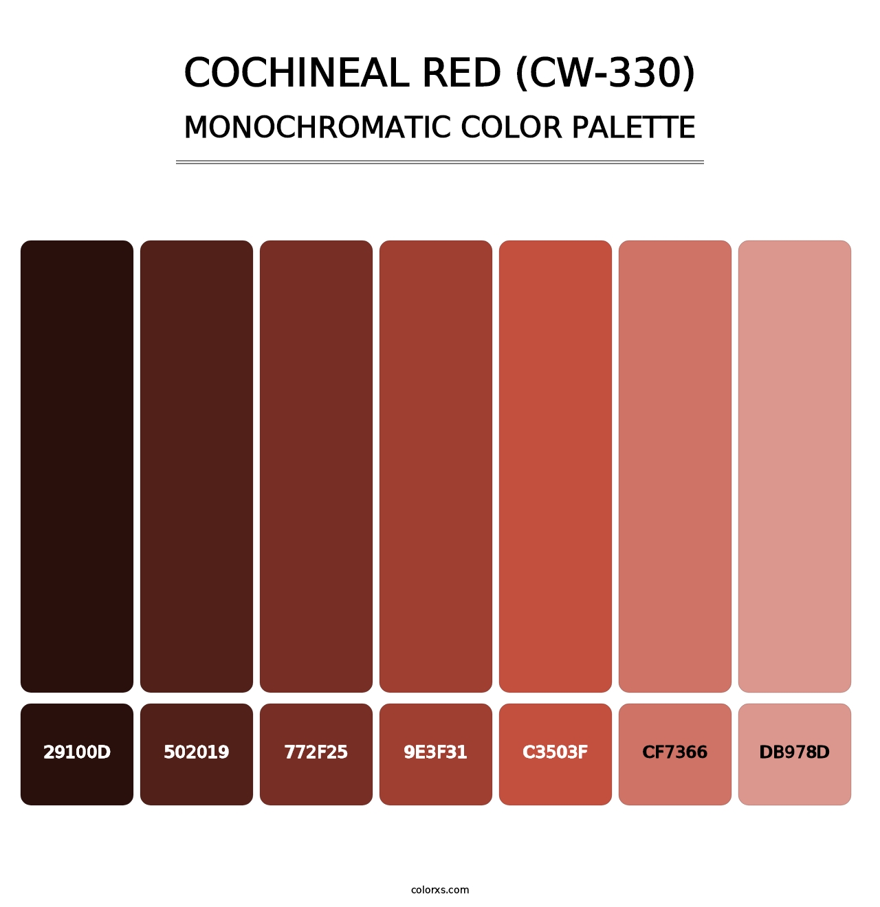Cochineal Red (CW-330) - Monochromatic Color Palette