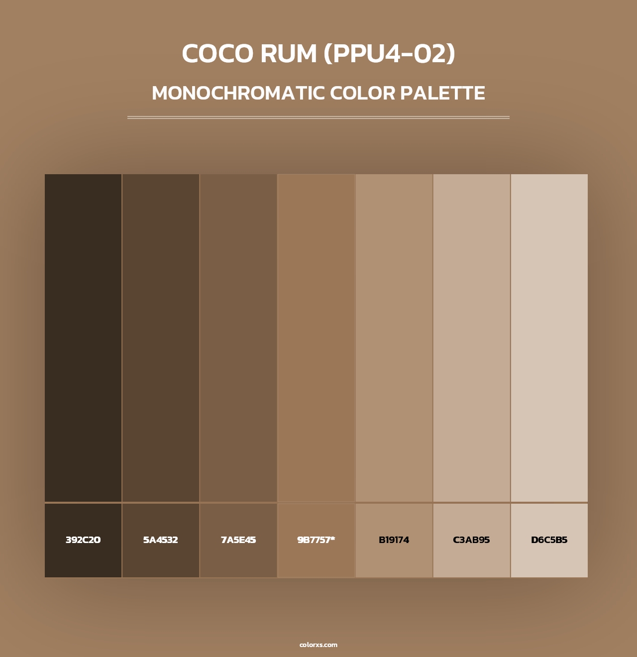 Coco Rum (PPU4-02) - Monochromatic Color Palette
