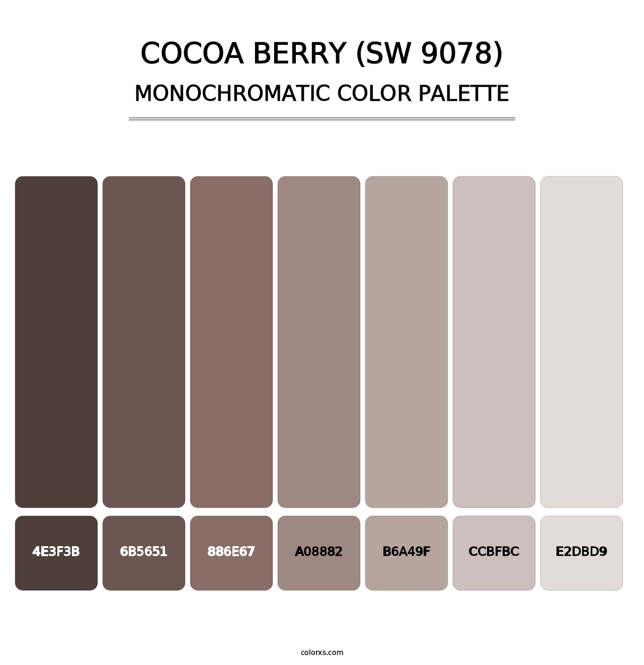 Cocoa Berry (SW 9078) - Monochromatic Color Palette
