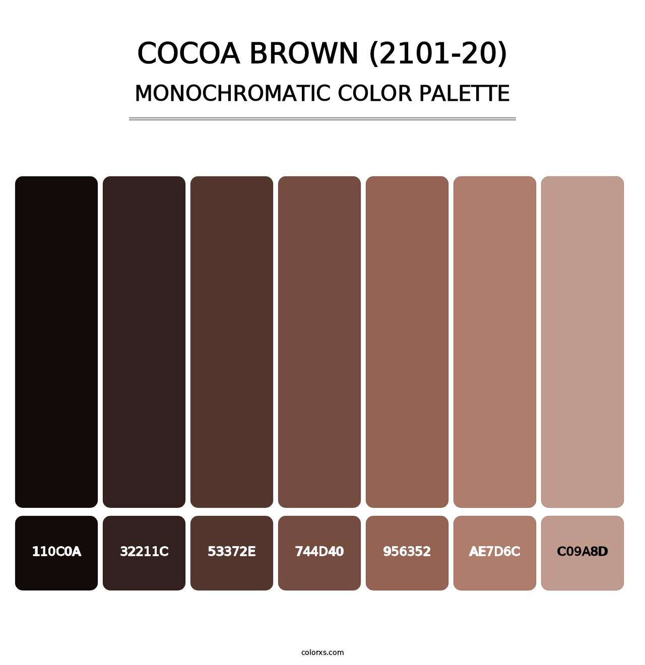 Cocoa Brown (2101-20) - Monochromatic Color Palette