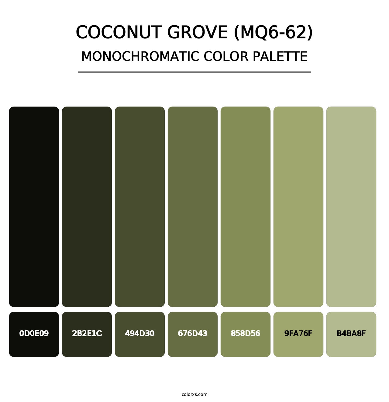 Coconut Grove (MQ6-62) - Monochromatic Color Palette