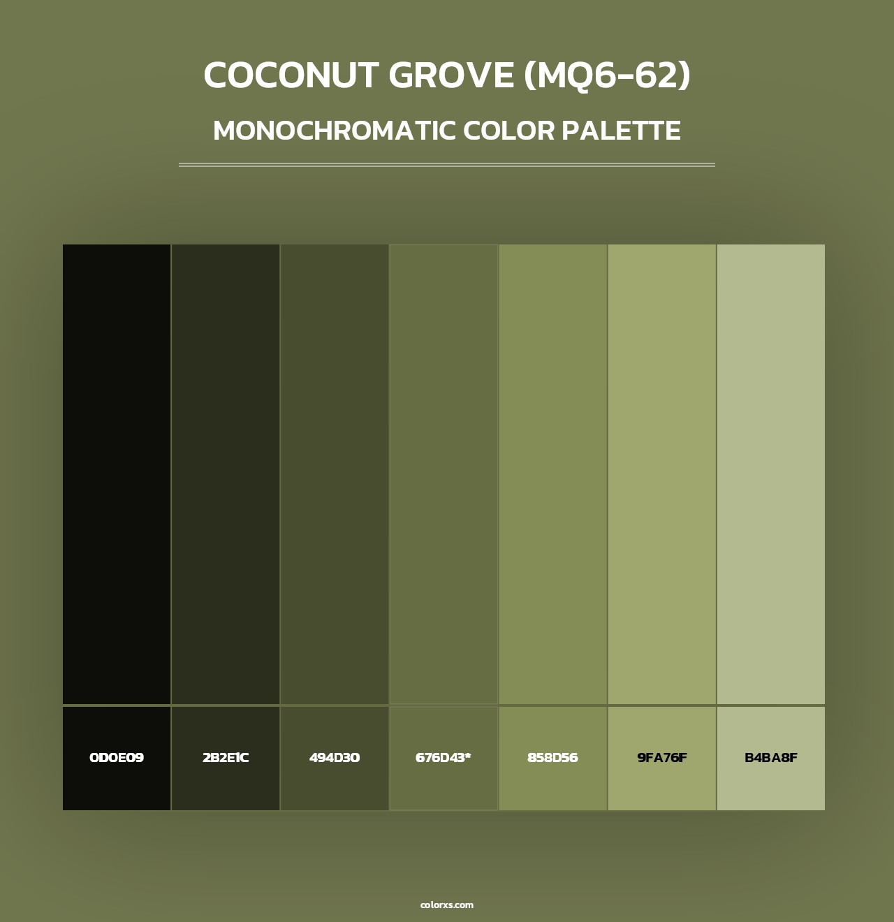 Coconut Grove (MQ6-62) - Monochromatic Color Palette