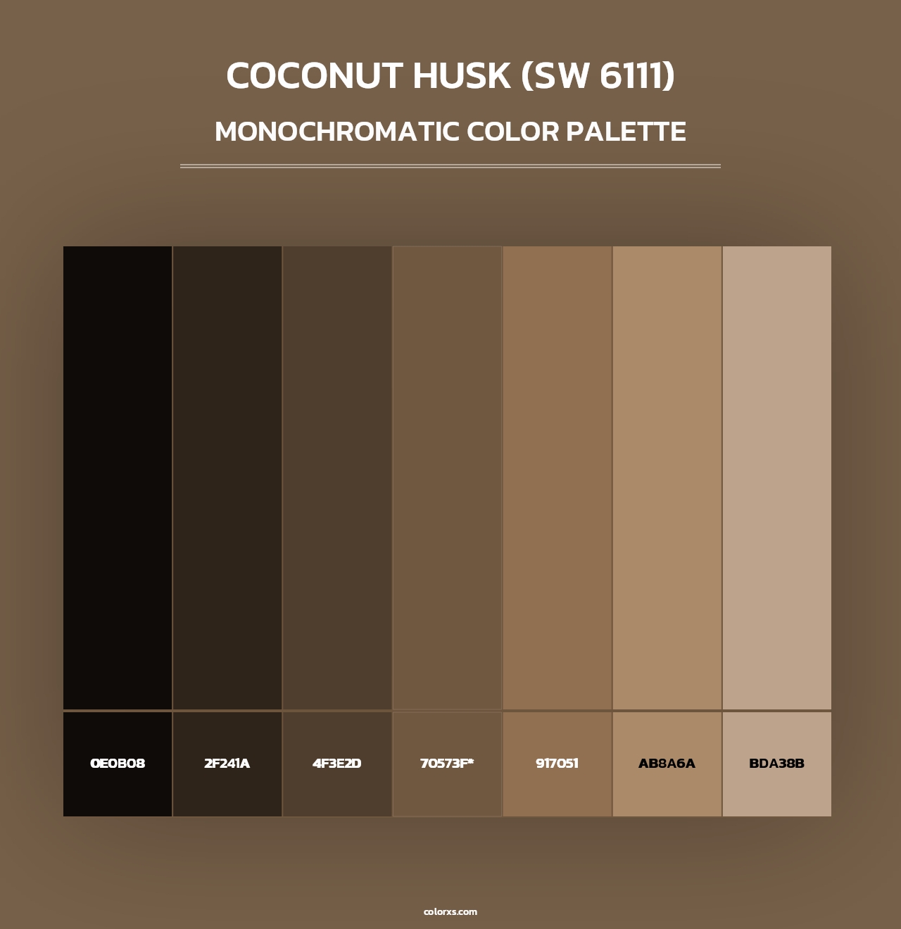 Coconut Husk (SW 6111) - Monochromatic Color Palette
