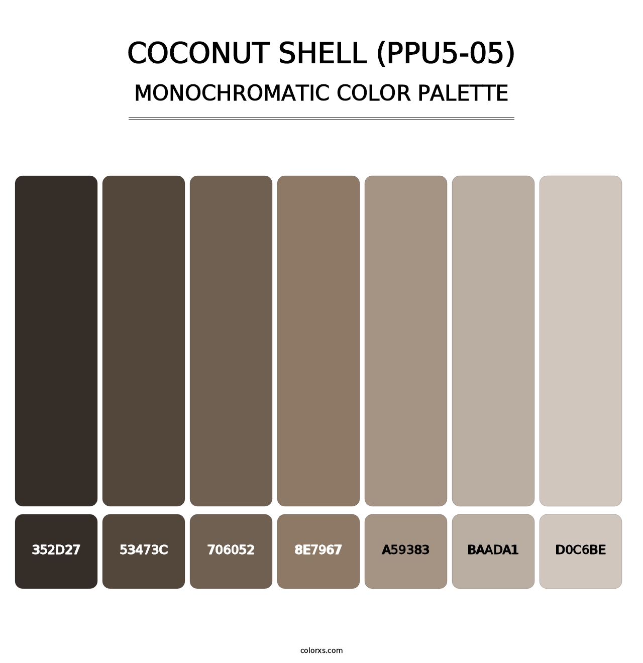 Coconut Shell (PPU5-05) - Monochromatic Color Palette