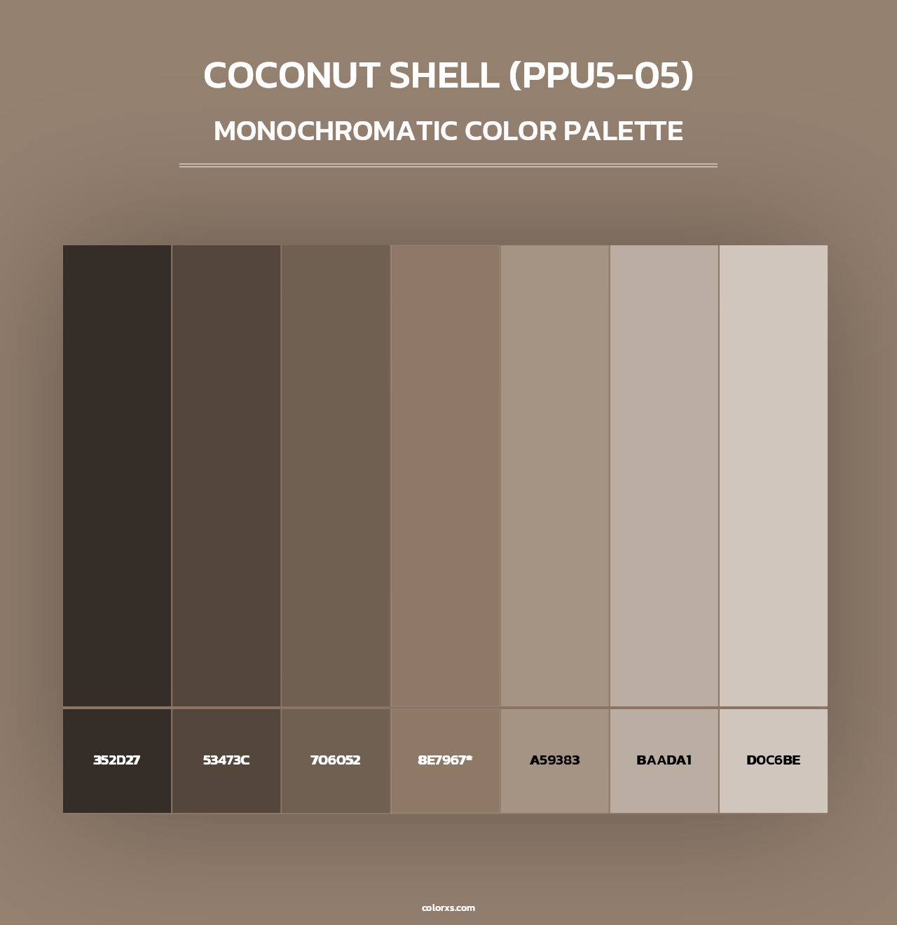 Coconut Shell (PPU5-05) - Monochromatic Color Palette