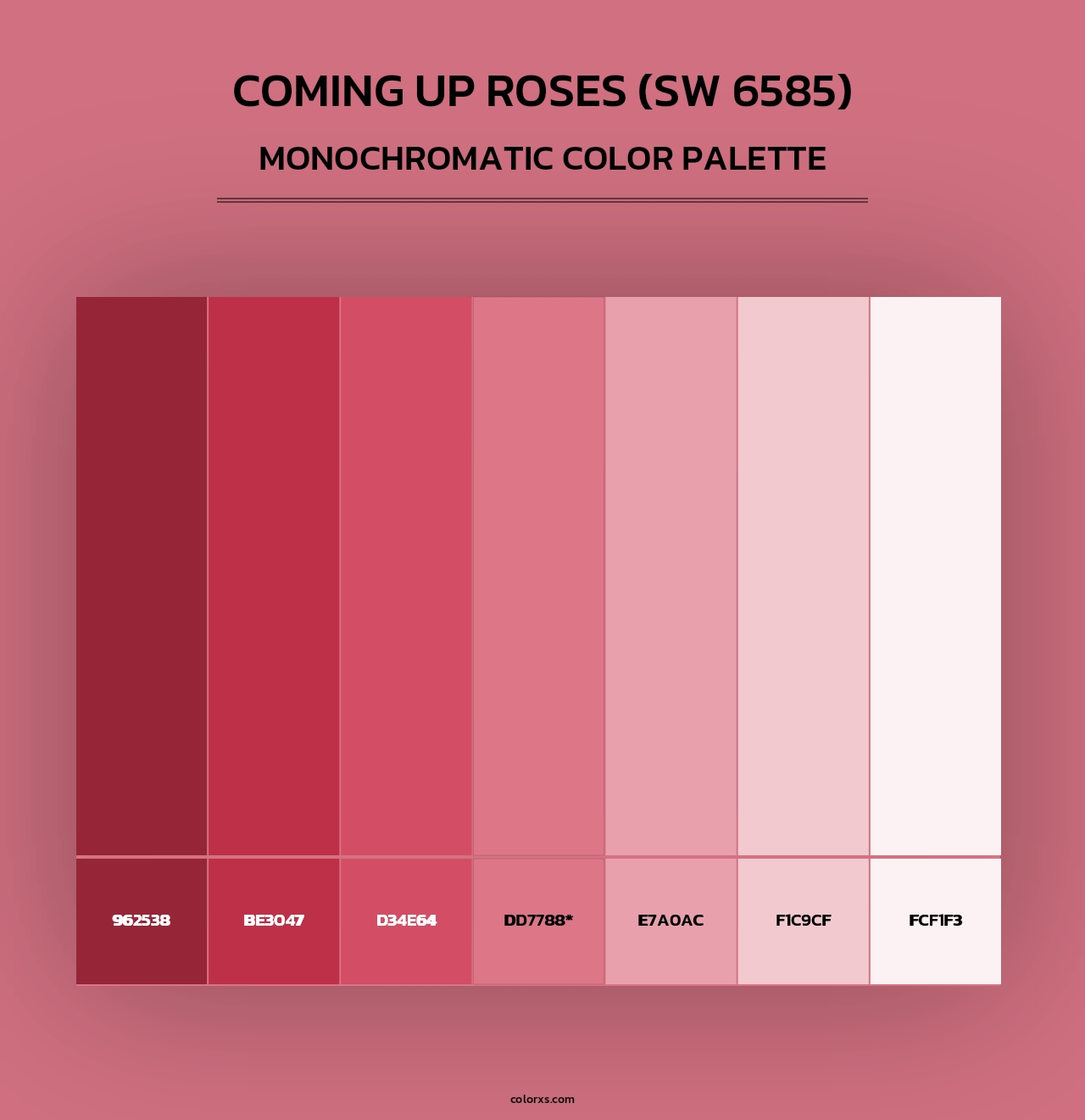 Coming up Roses (SW 6585) - Monochromatic Color Palette