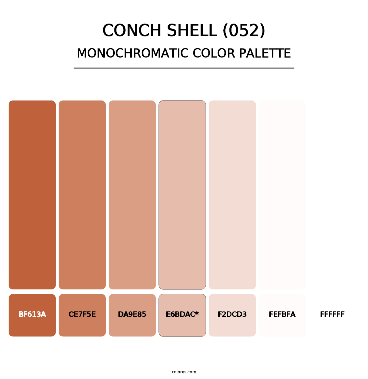 Conch Shell (052) - Monochromatic Color Palette