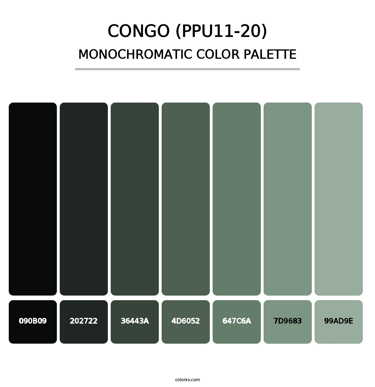 Congo (PPU11-20) - Monochromatic Color Palette