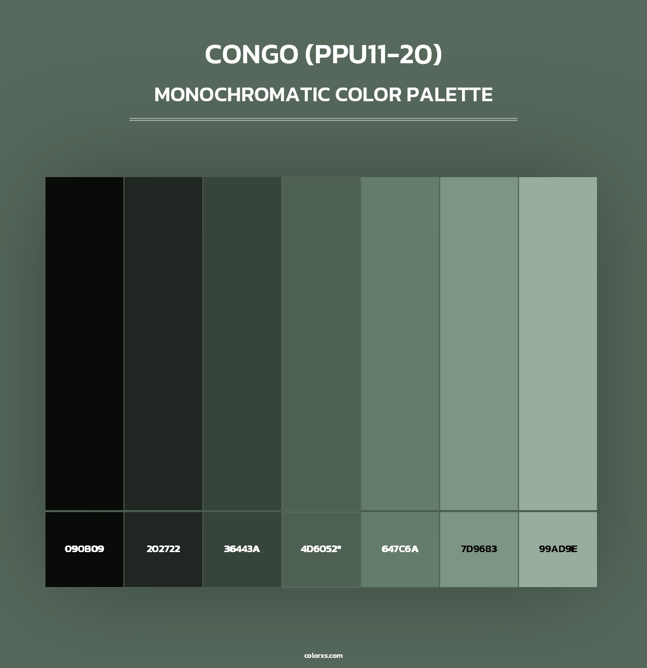 Congo (PPU11-20) - Monochromatic Color Palette