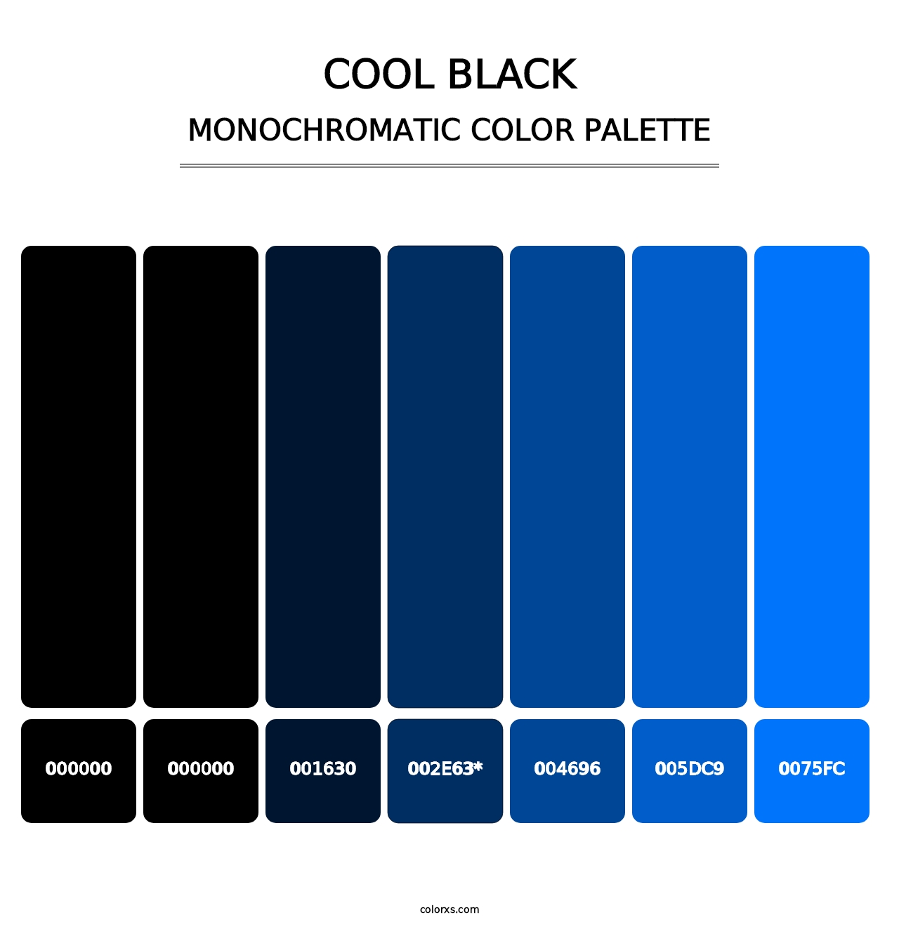 Cool Black - Monochromatic Color Palette