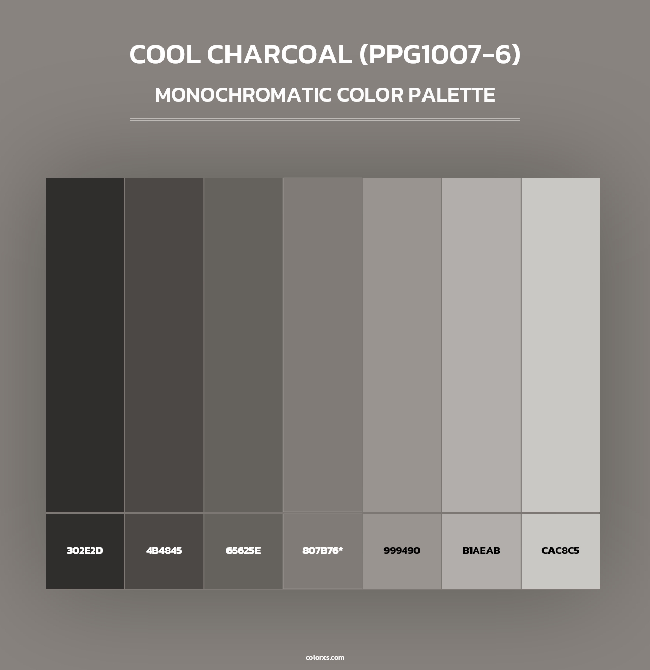 Cool Charcoal (PPG1007-6) - Monochromatic Color Palette