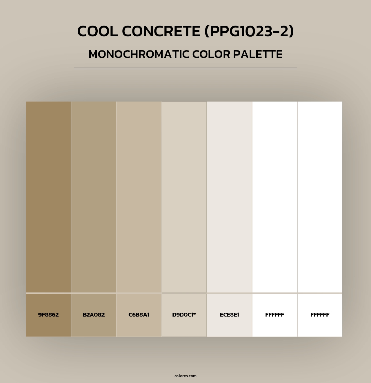 Cool Concrete (PPG1023-2) - Monochromatic Color Palette