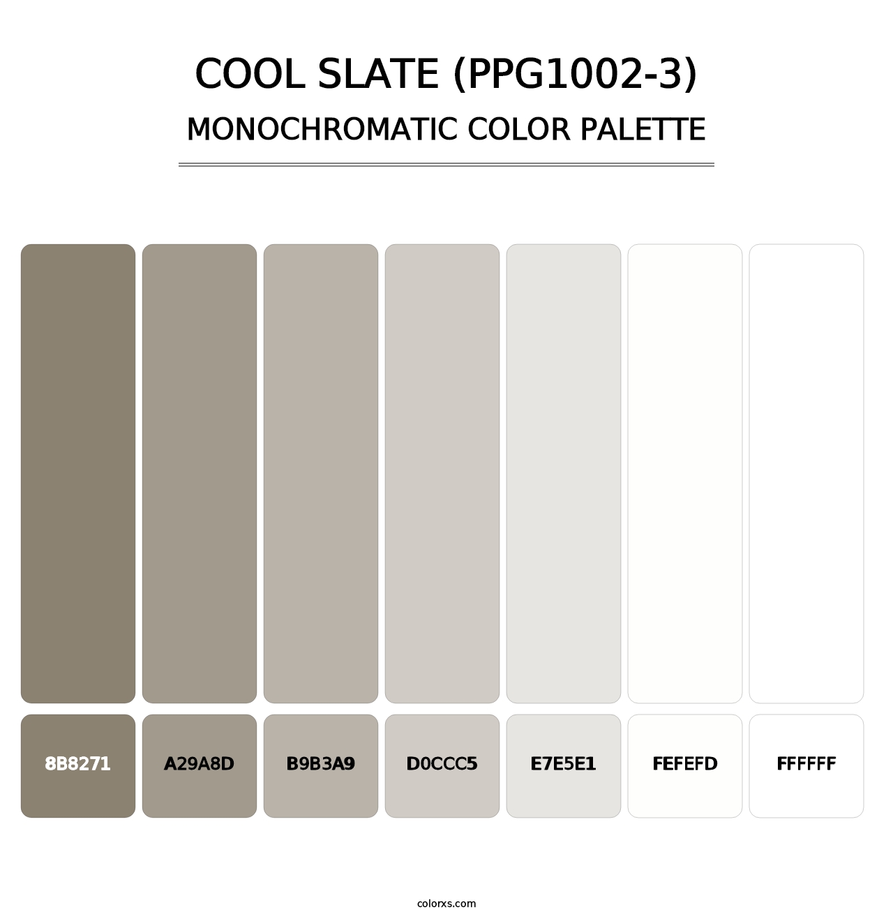 Cool Slate (PPG1002-3) - Monochromatic Color Palette